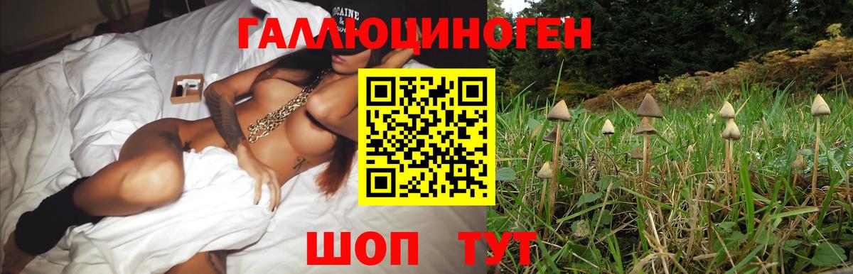Псилоцибиновые грибы Magic Shrooms  цены наркотик  Знаменск  Вход с VPN 