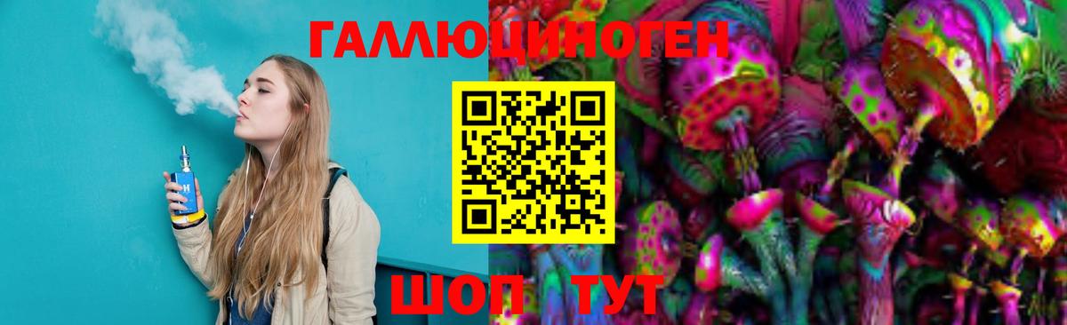 Галлюциногенные грибы Psilocybe Знаменск